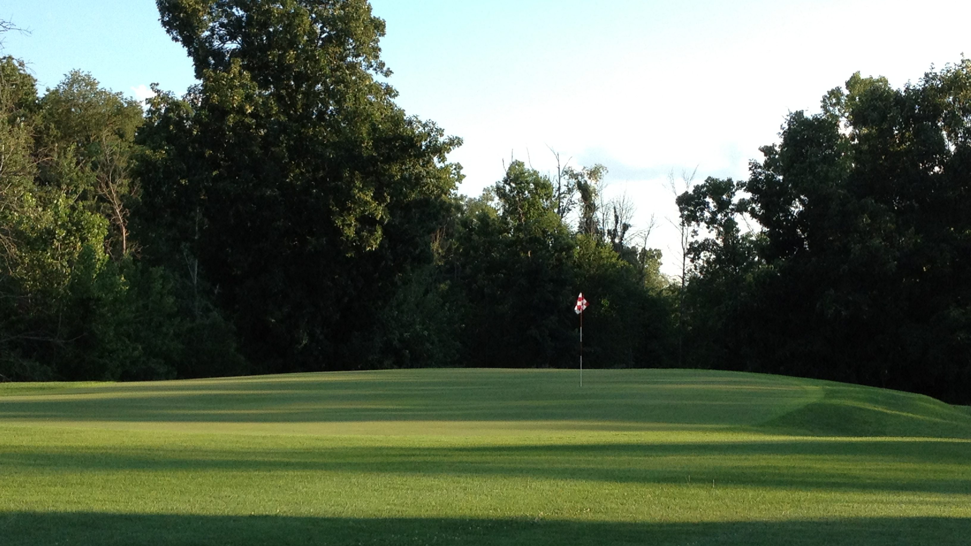 green at Lake LeAnn Golf Course