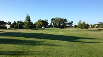 view of the trees on the course green