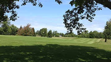 view of golf course green from the shade of the trees